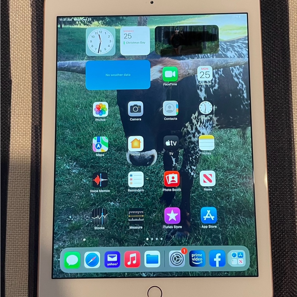 iPad 6